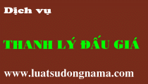 Dich vu thanh ly dau gia tai san